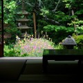 浄智寺　和室と庭園