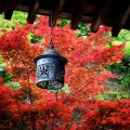 海蔵寺　本堂庇下の吊灯籠