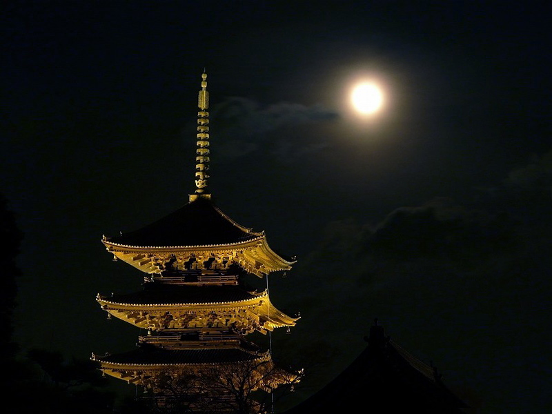 興福寺　五重塔夜景