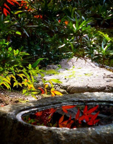清凉寺　庭園と手水鉢