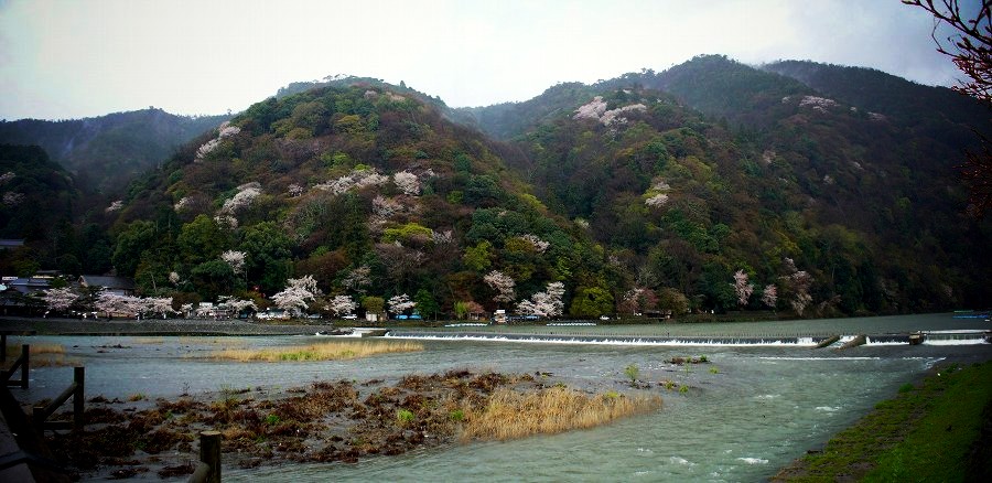 京都嵐山全景