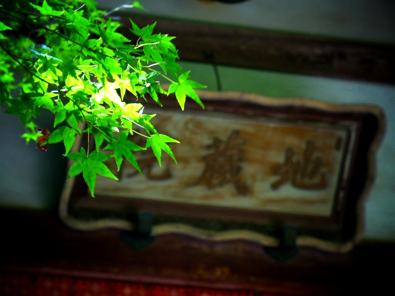 地蔵院(竹の寺)　本堂
