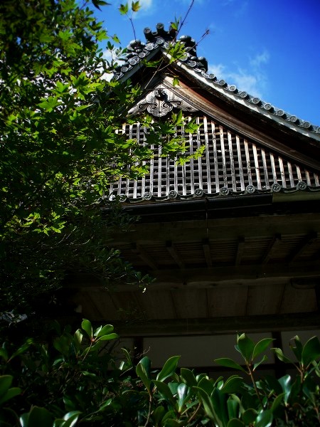 百済寺　本堂