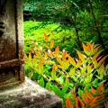 聖林寺　奈良