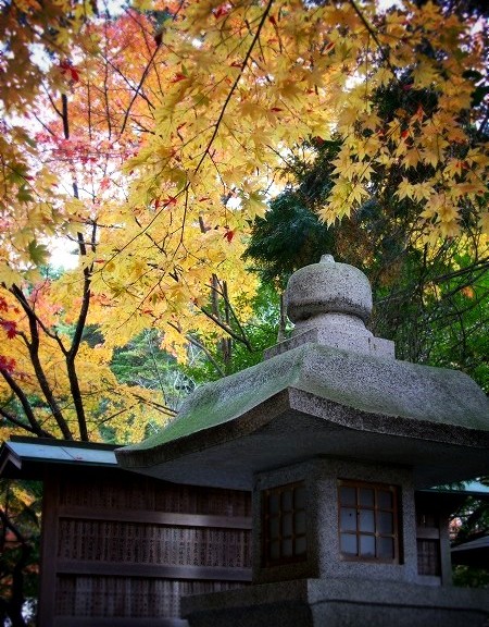 大原野神社　紅葉と石灯籠